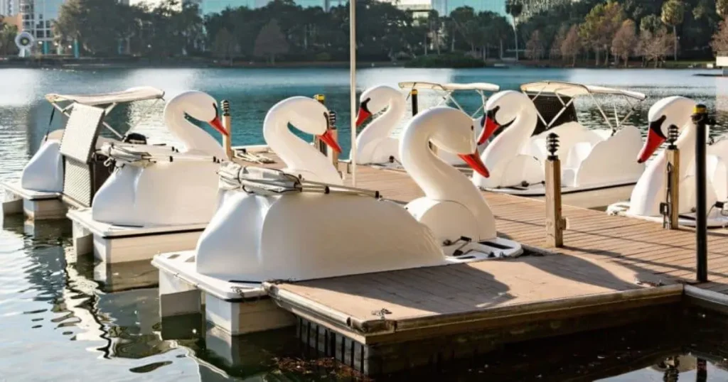 Discover the Magic of Swan Boats Long Beach