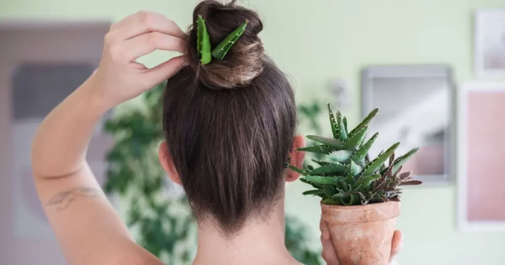 A woman with an Aloe vera plant in hand-benefits of aloe vera for your hair