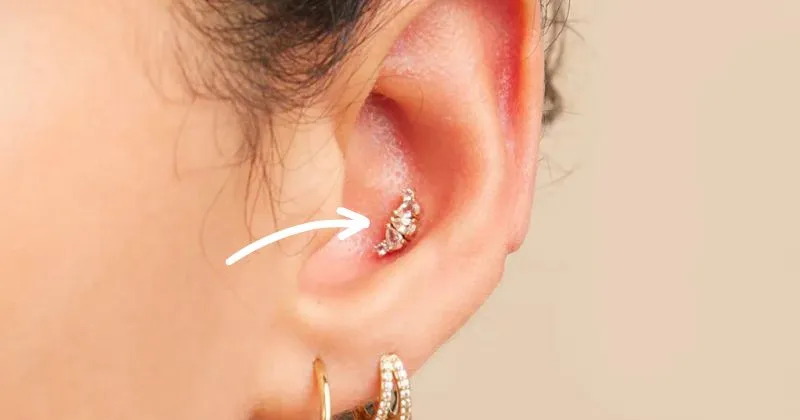 Conch Piercing