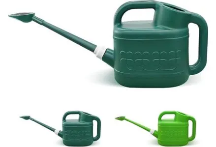 Watering can with removable spout