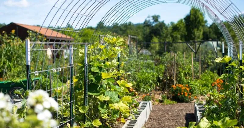 climate gardening