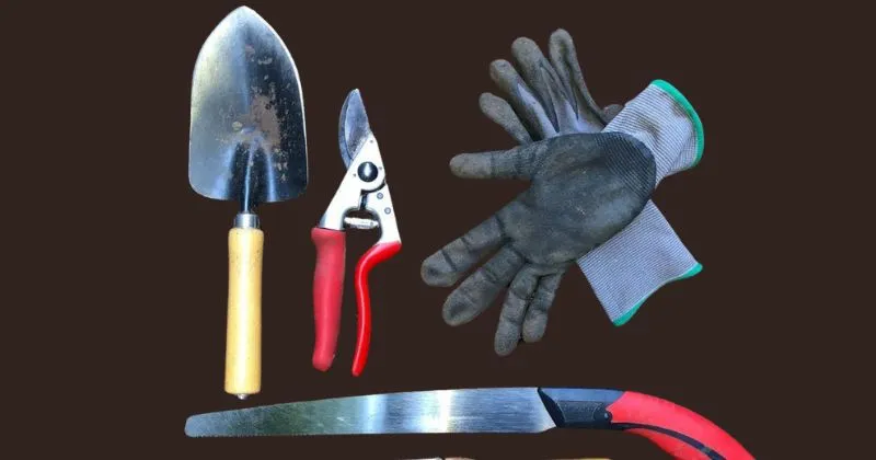 basic gardening tools